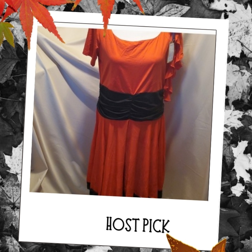 Faship Red and Black Dress SZ 2X